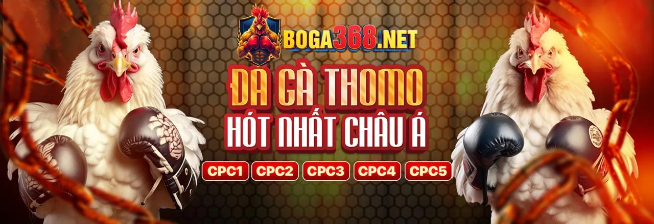 Đá Gà Trực Tuyến 777king99 web